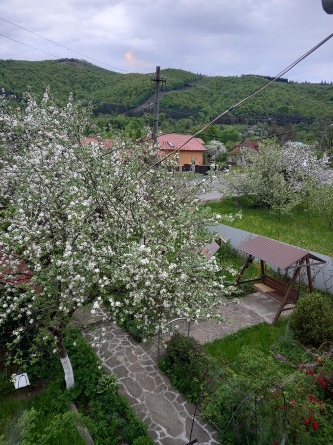 Лаванда Yaremche Luaran gambar