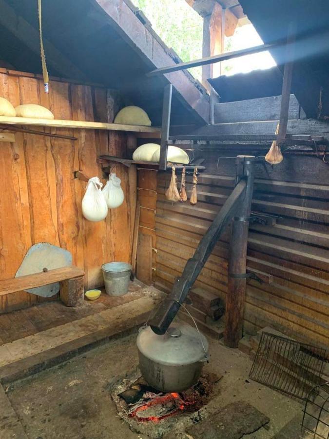 Лаванда Yaremche Luaran gambar